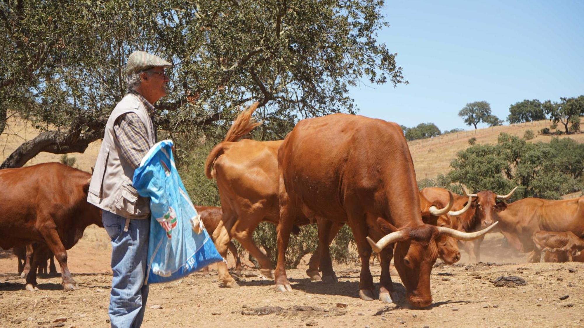 Agroturismo Xistos Cerca Kültér fotó