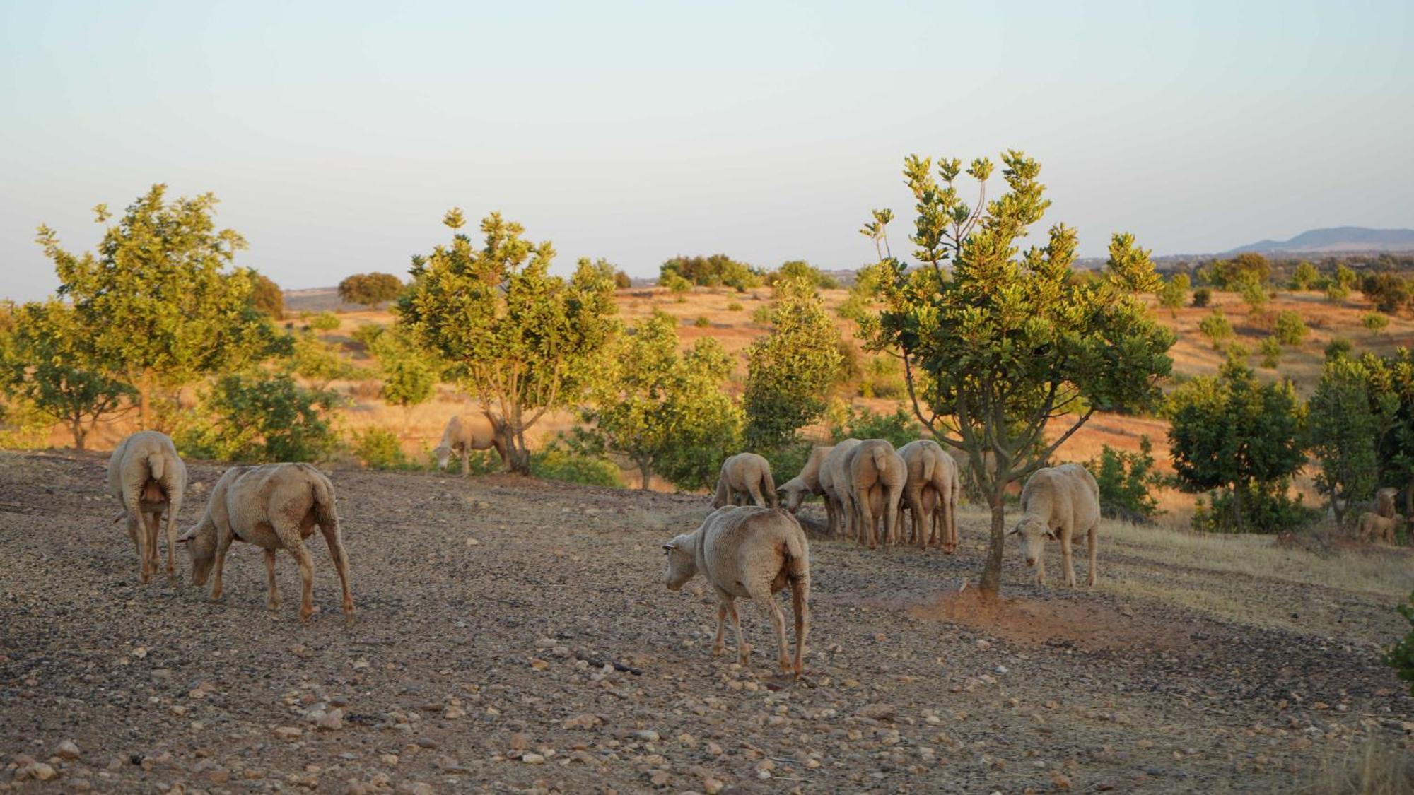 Agroturismo Xistos Cerca Kültér fotó