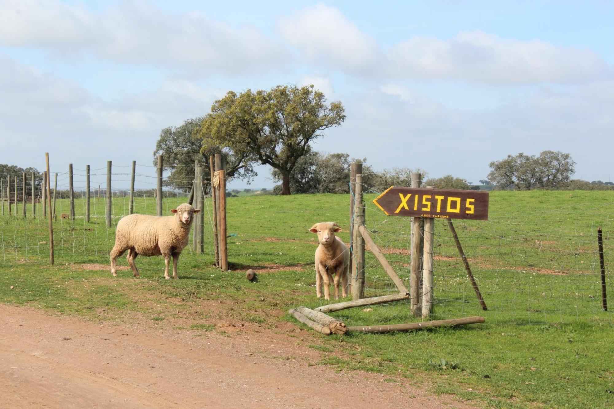 Agroturismo Xistos Cerca Kültér fotó