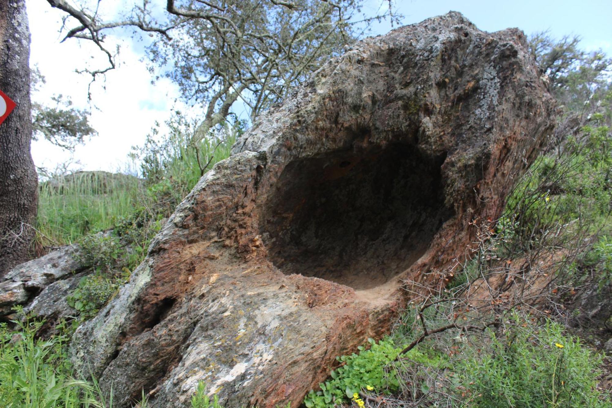 Agroturismo Xistos Cerca Kültér fotó